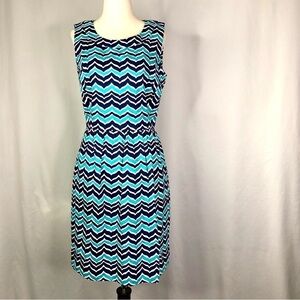 Vineyard Vines whale chevron dress fit and flare blue white open back pockets! 4